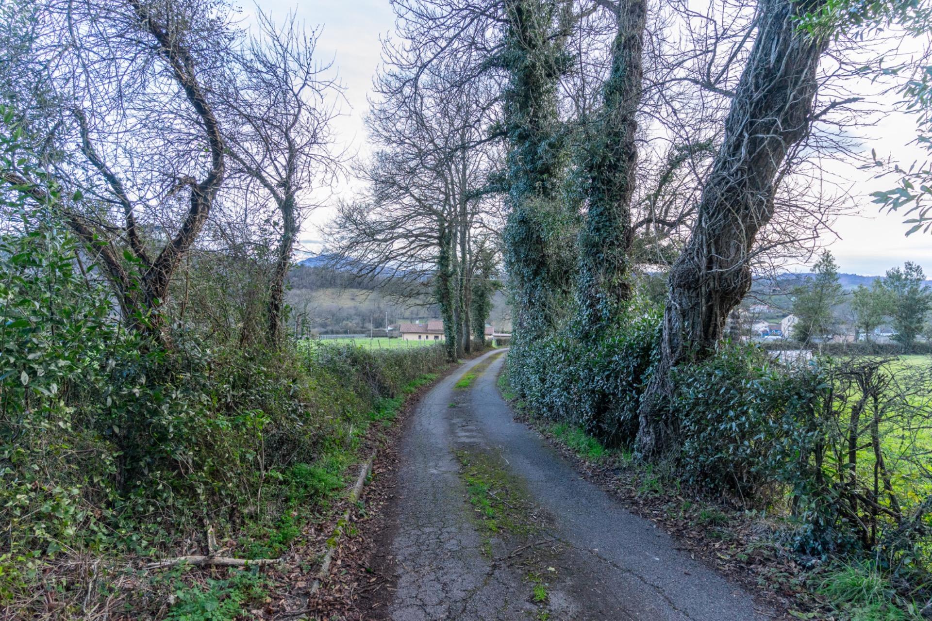 Fincas y solares-Venta-Sariego-2089833-Foto-32