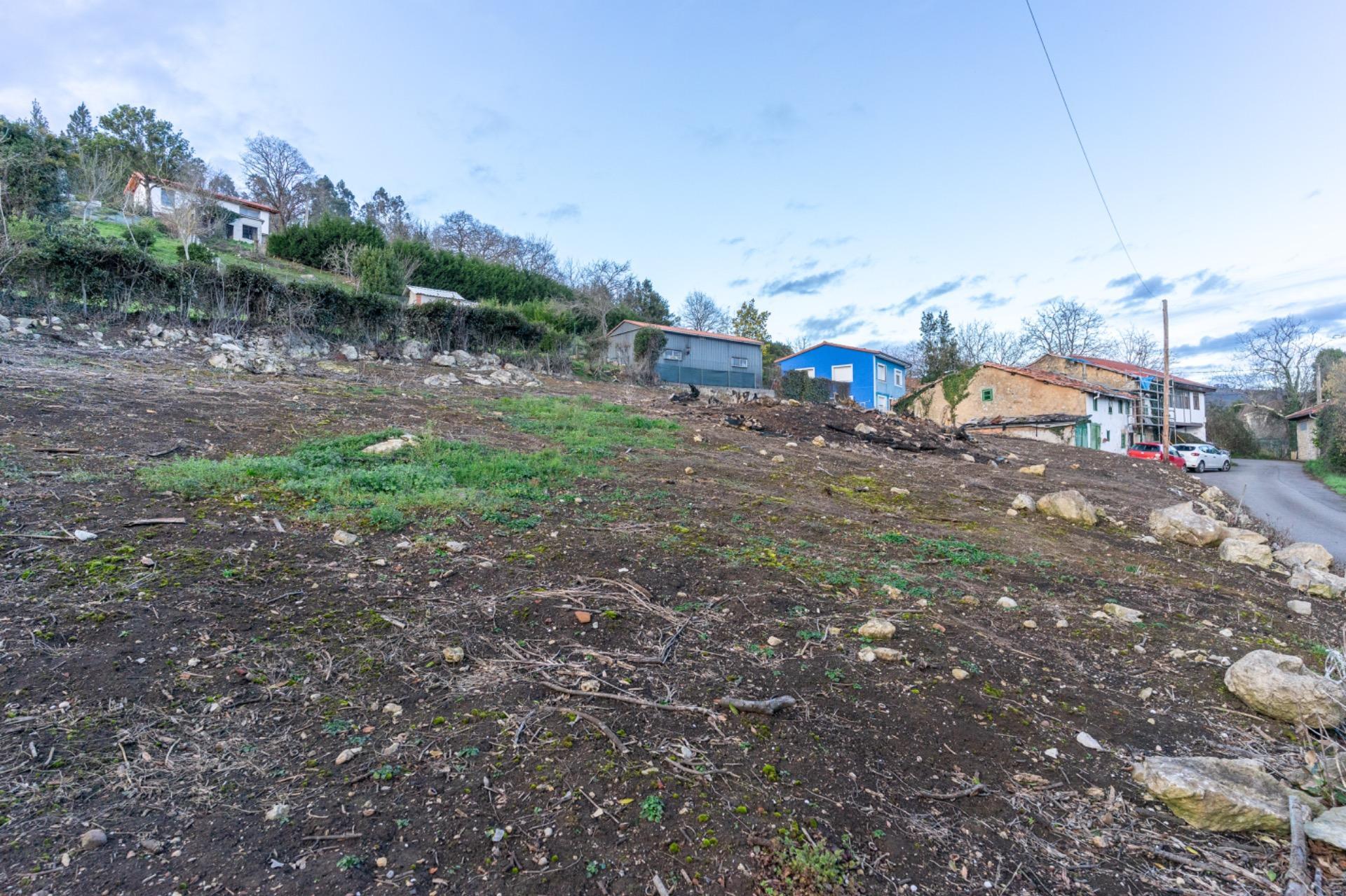 Fincas y solares-Venta-Sariego-2089833-Foto-35