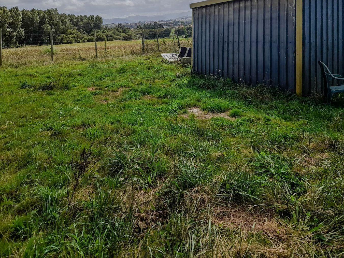 Fincas y solares-Venta-Miengo-1884823-Foto-10