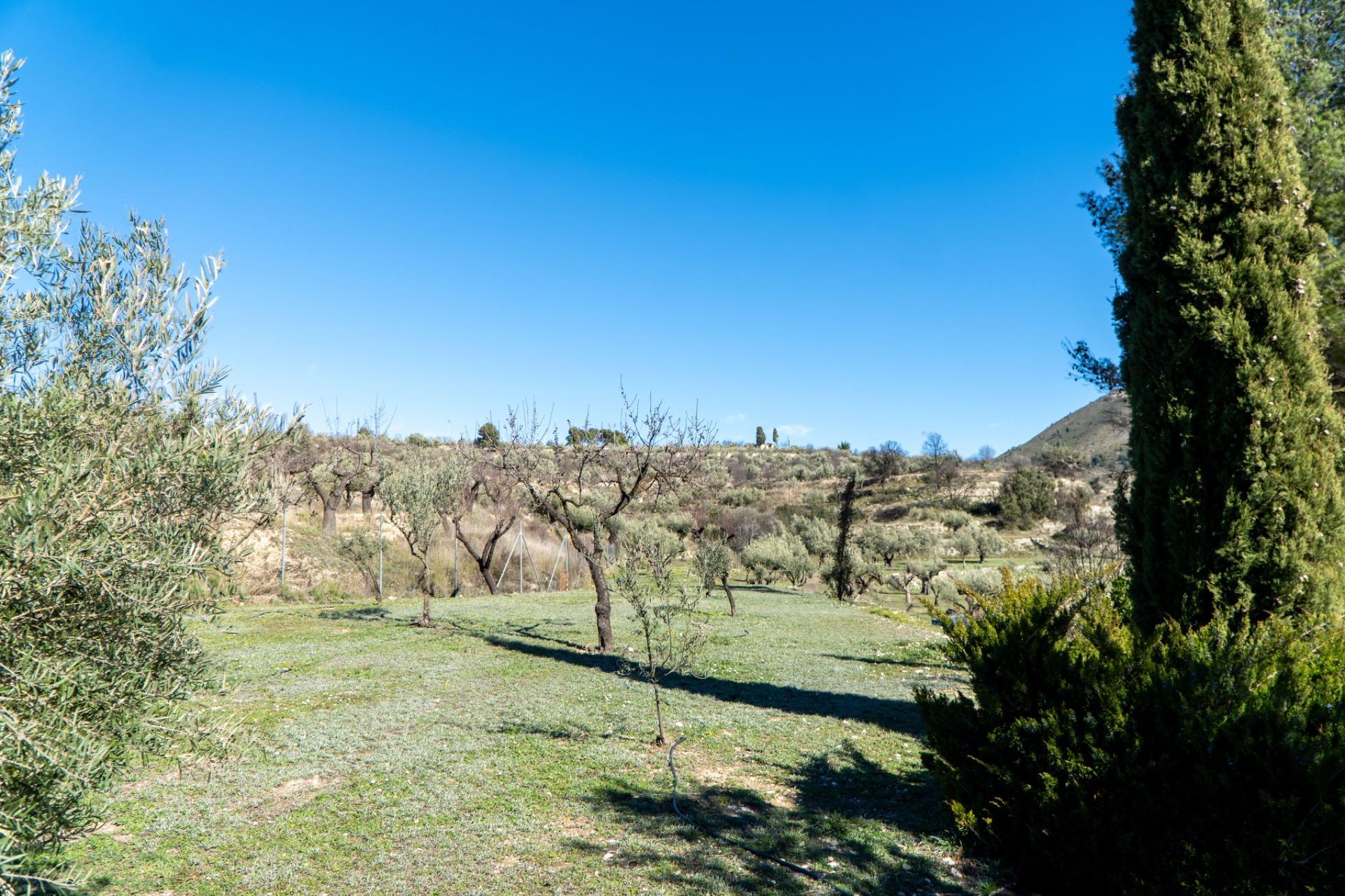 Pisos-Venta-PenÃ guila-2089874-Foto-43