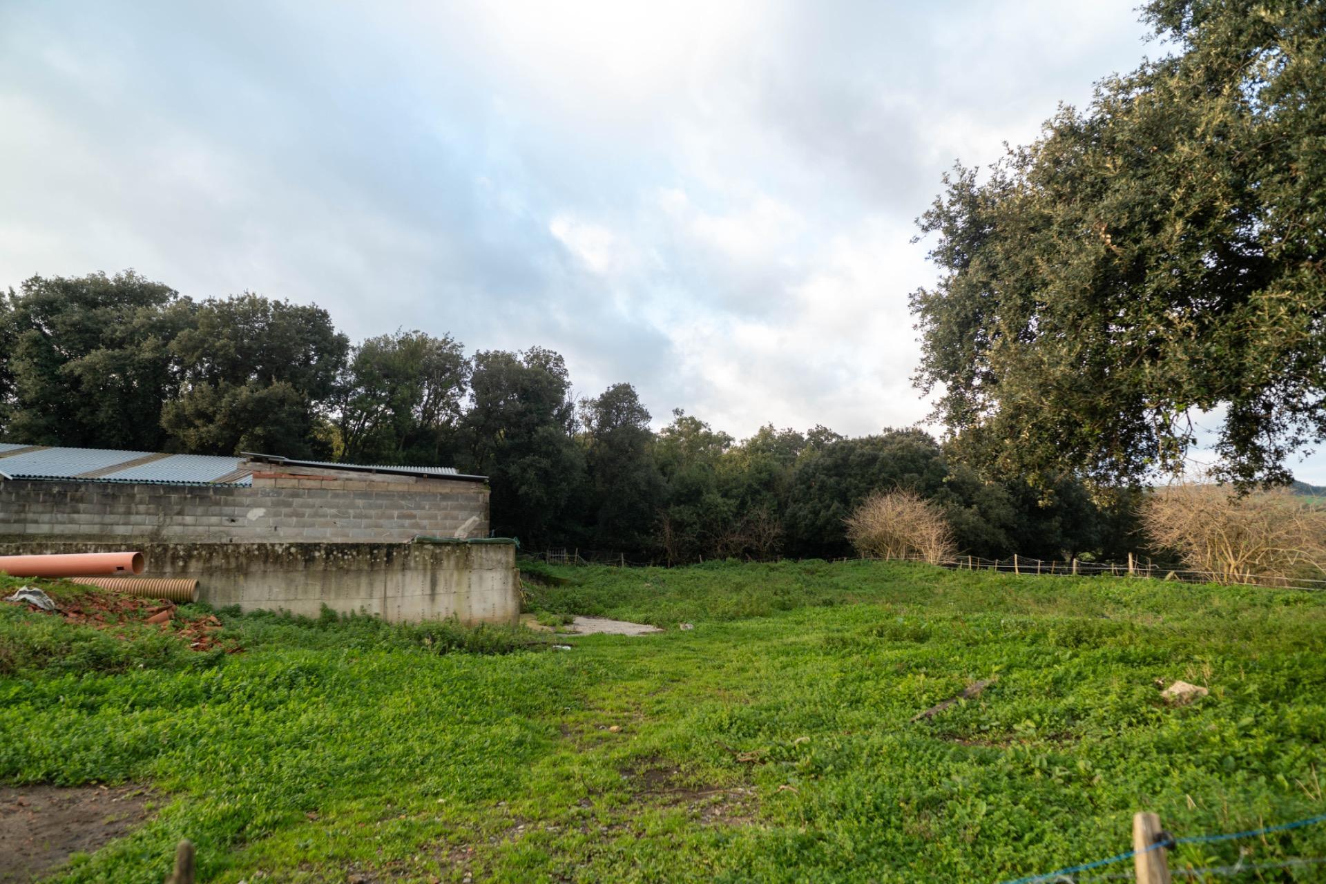 Casas o chalets-Venta-Bareyo-2089877-Foto-14