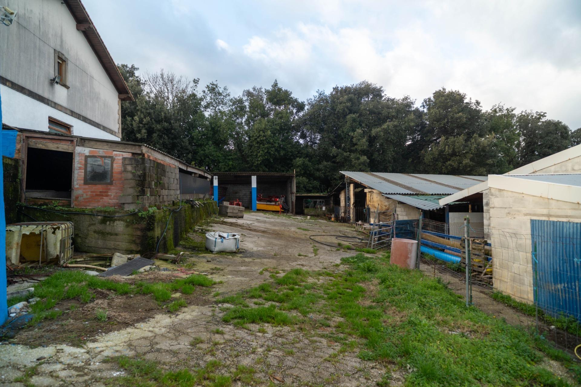 Casas o chalets-Venta-Bareyo-2089877-Foto-20