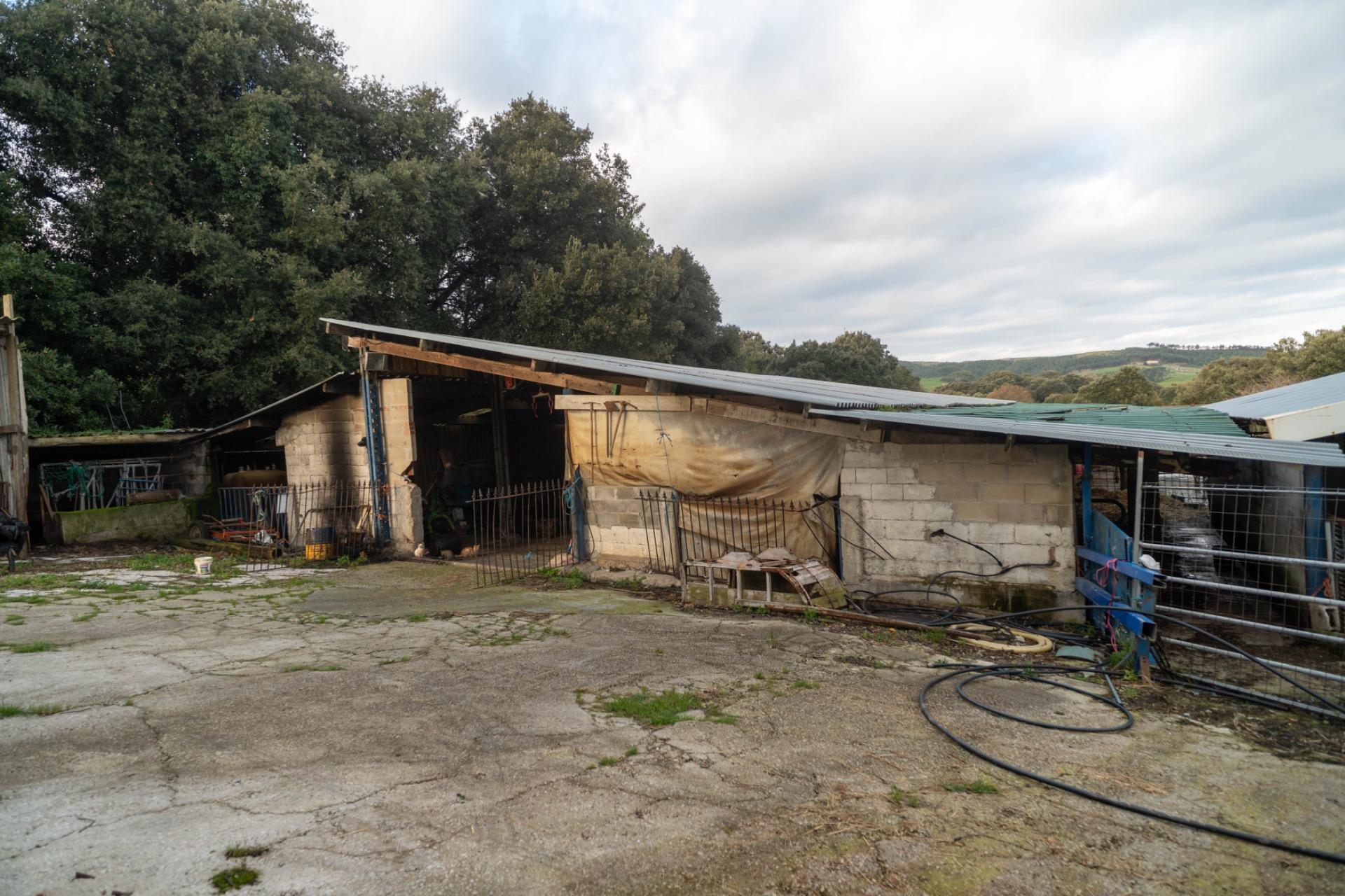 Casas o chalets-Venta-Bareyo-2089877-Foto-21