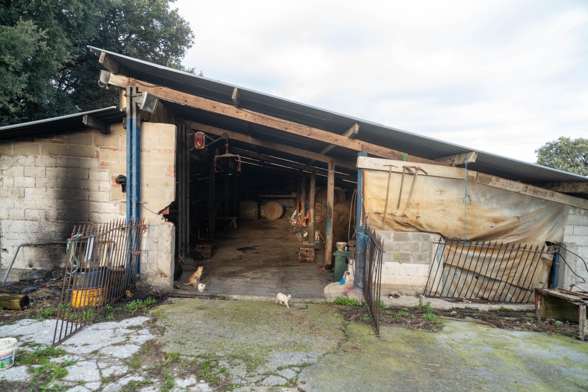 Casas o chalets-Venta-Bareyo-2089877-Foto-23