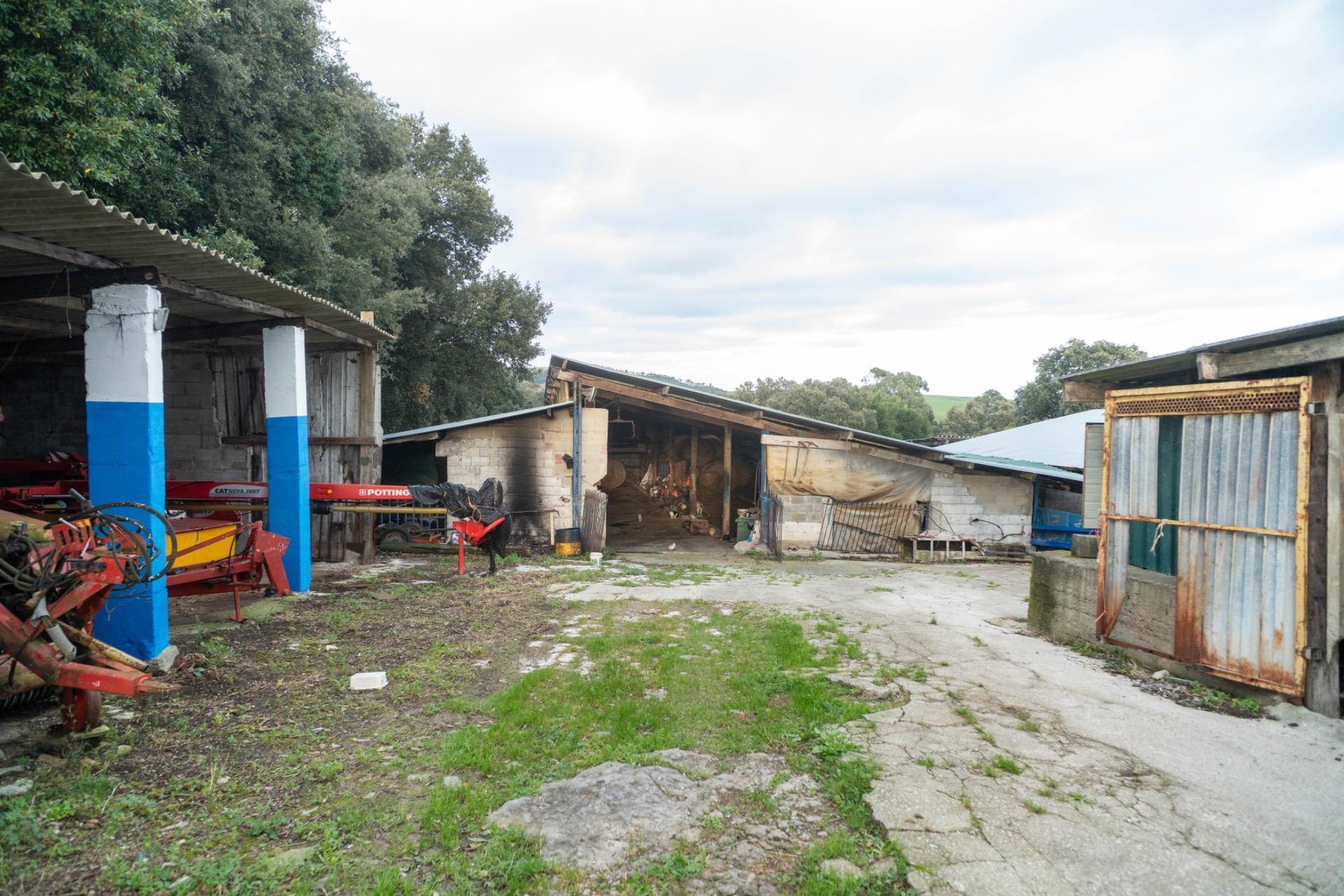 Casas o chalets-Venta-Bareyo-2089877-Foto-26