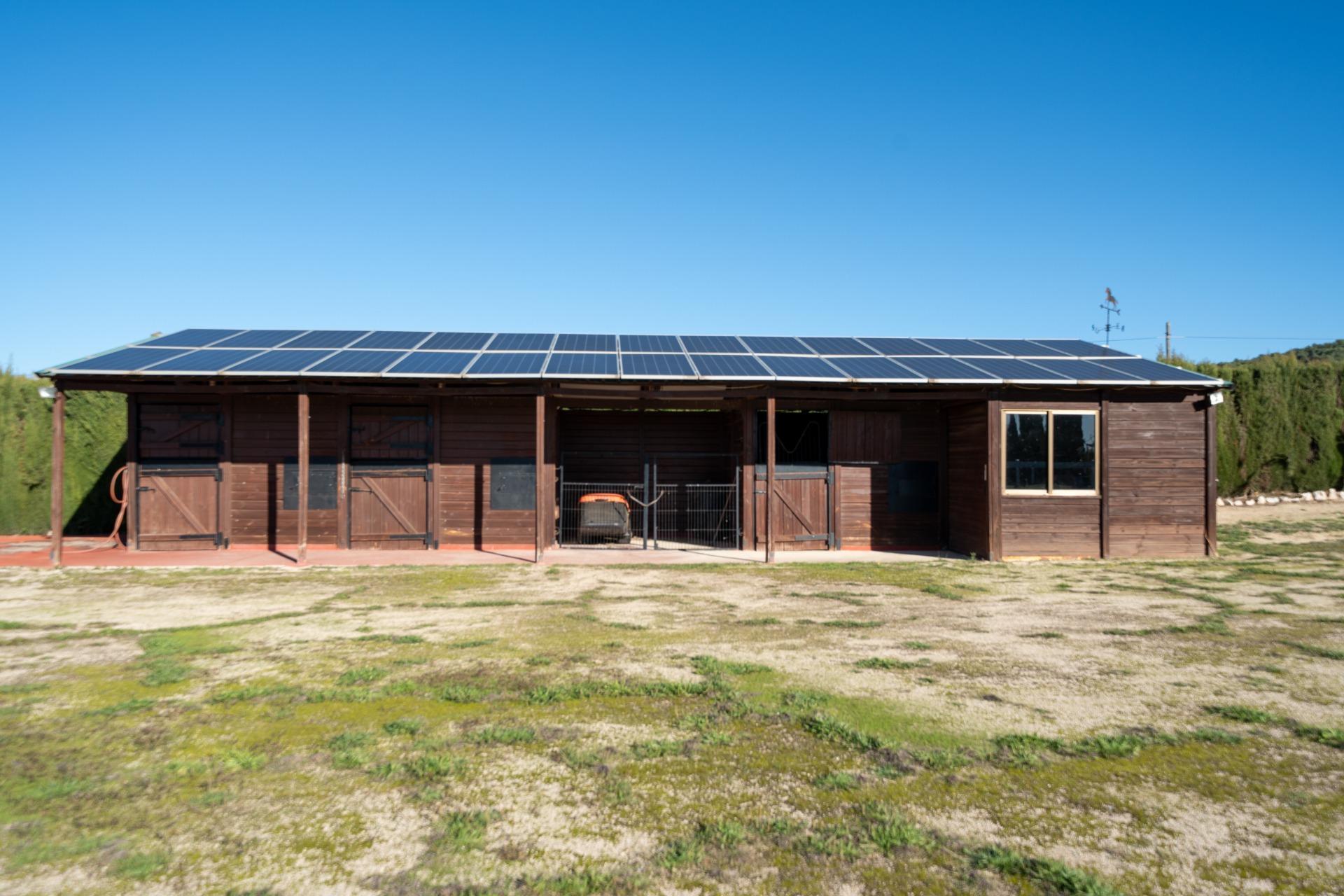 Casas o chalets-Venta-Requena-2009533-Foto-30