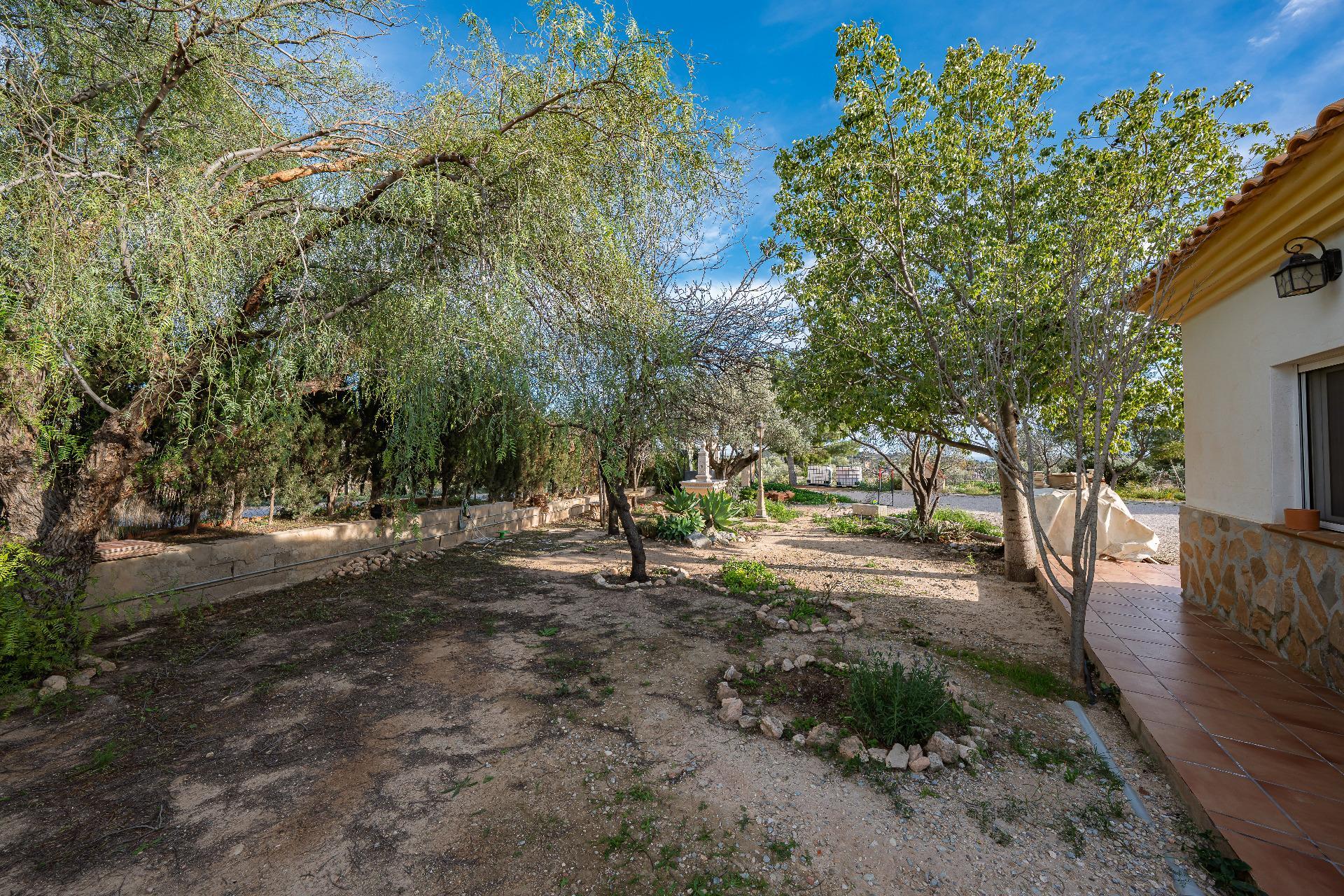 Casas o chalets-Venta-San Vicente del Raspeig-2091266-Foto-26