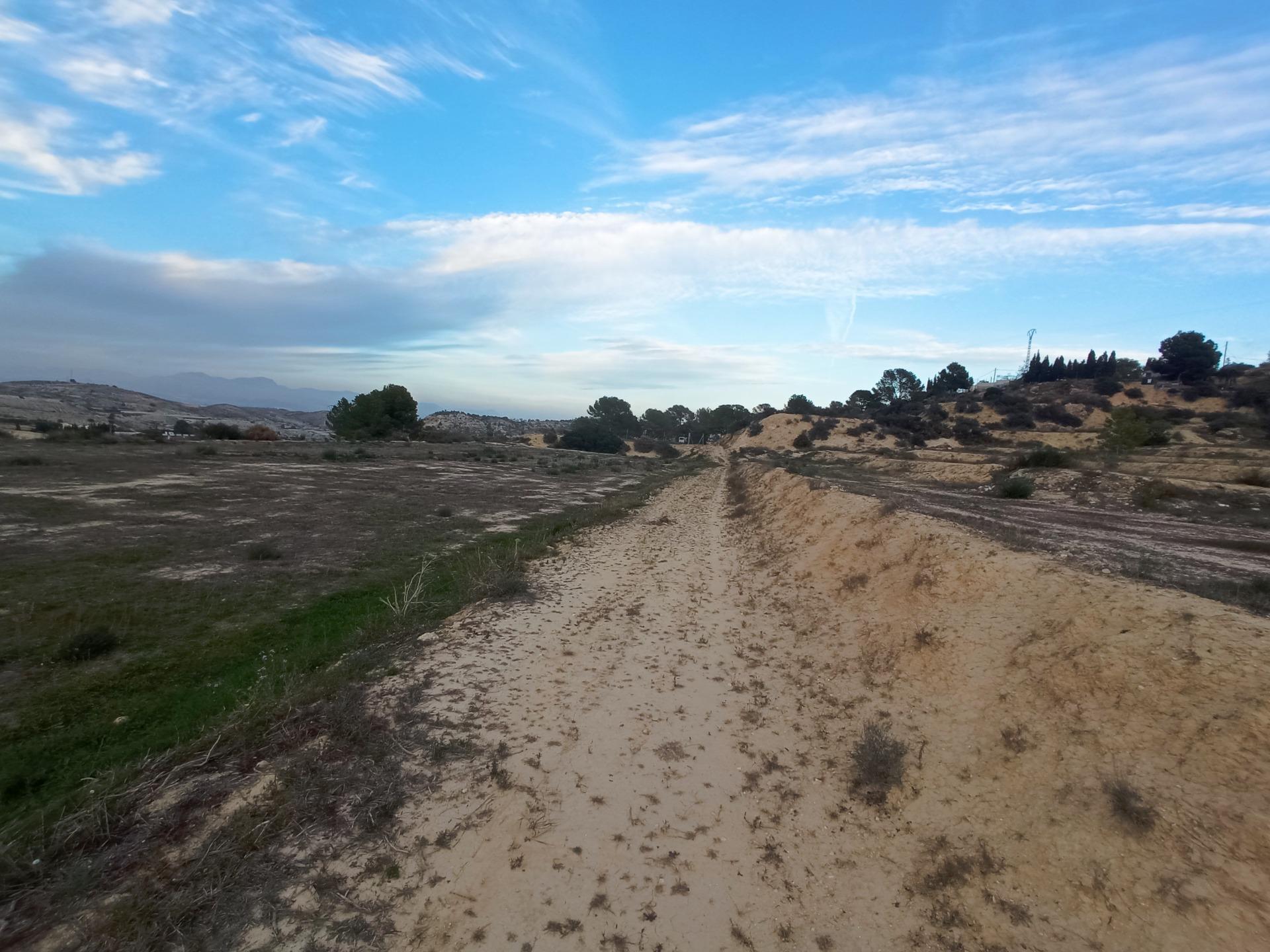 Fincas y solares-Venta-Aspe-2090778-Foto-2