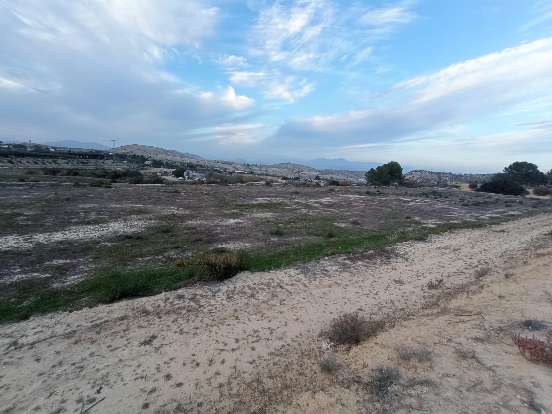 Fincas y solares-Venta-Aspe-2090778-Foto-5