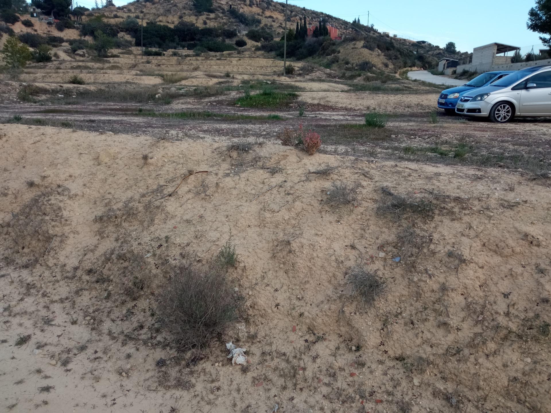 Fincas y solares-Venta-Aspe-2090778-Foto-9