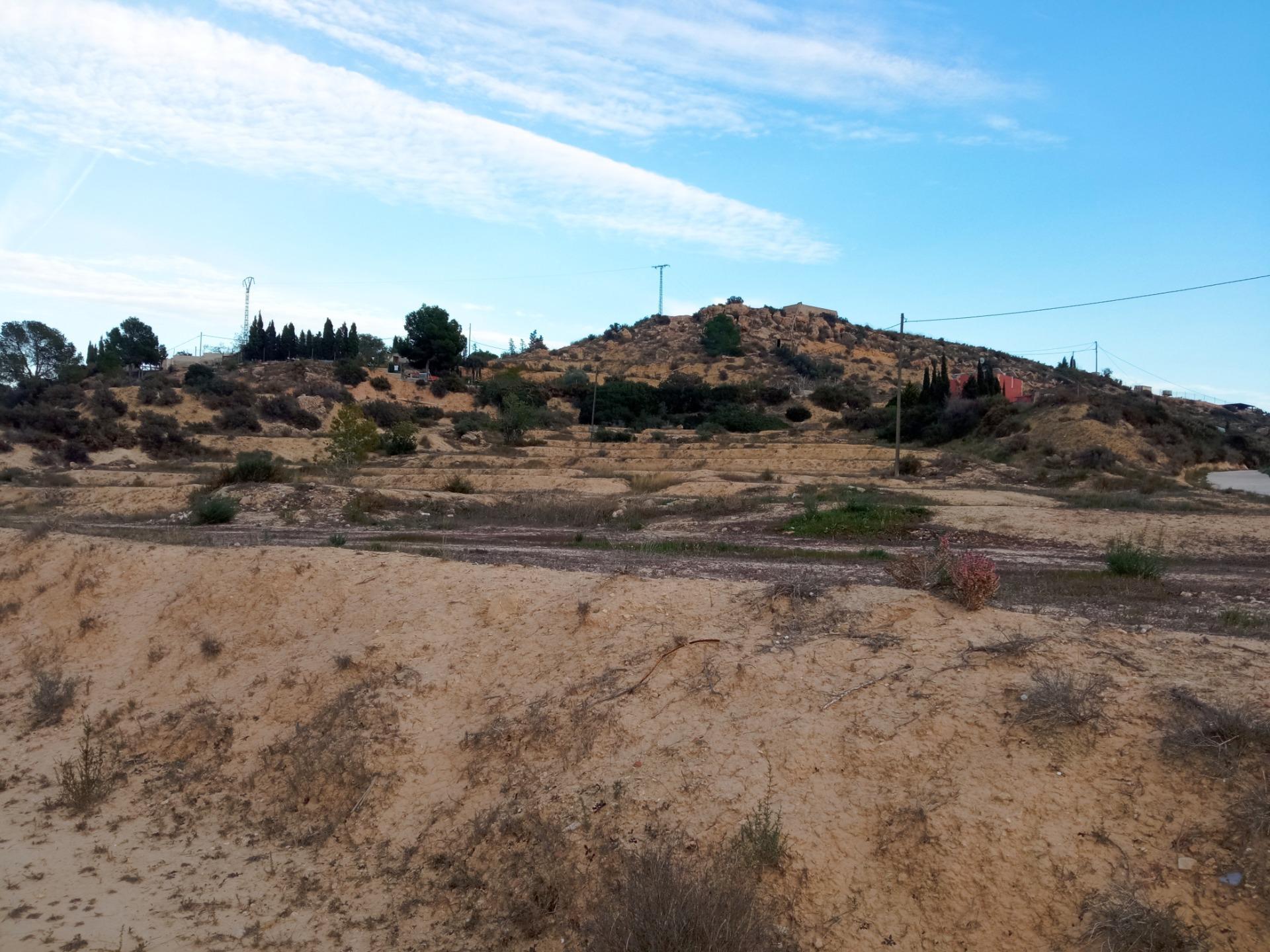 Fincas y solares-Venta-Aspe-2090778-Foto-10