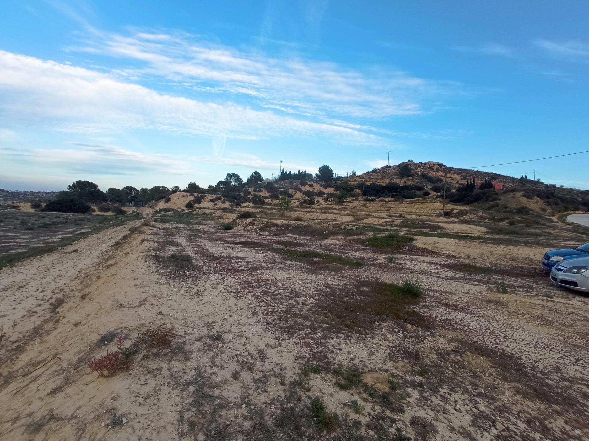 Fincas y solares-Venta-Aspe-2090778-Foto-6