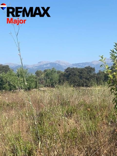 Fincas y solares-Venta-Costitx-2045410-Foto-3