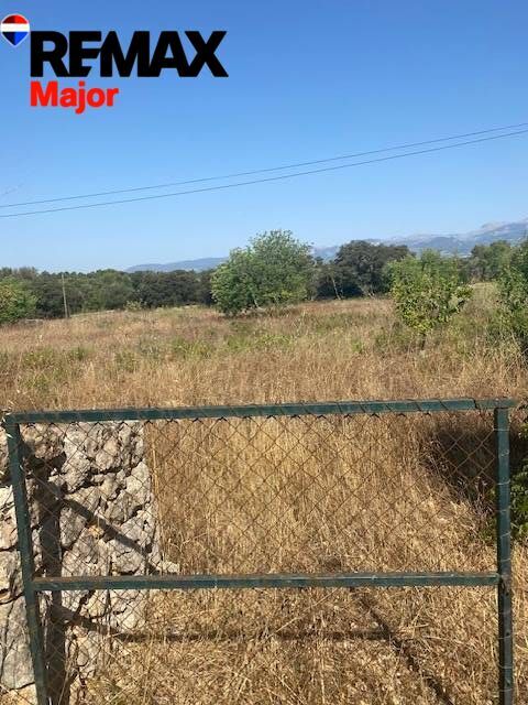 Fincas y solares-Venta-Costitx-2045407-Foto-3