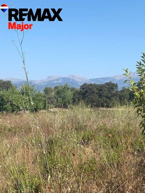 Fincas y solares-Venta-Costitx-2045407-Foto-4