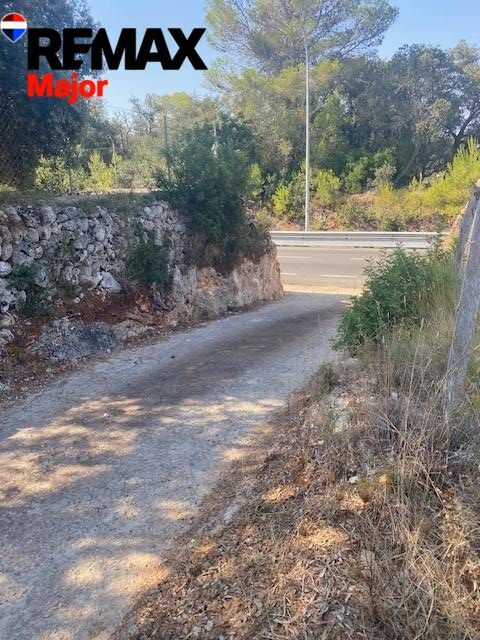 Fincas y solares-Venta-Costitx-2045407-Foto-2