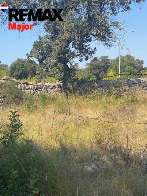 Fincas y solares-Venta-Costitx-2045407-Foto-6