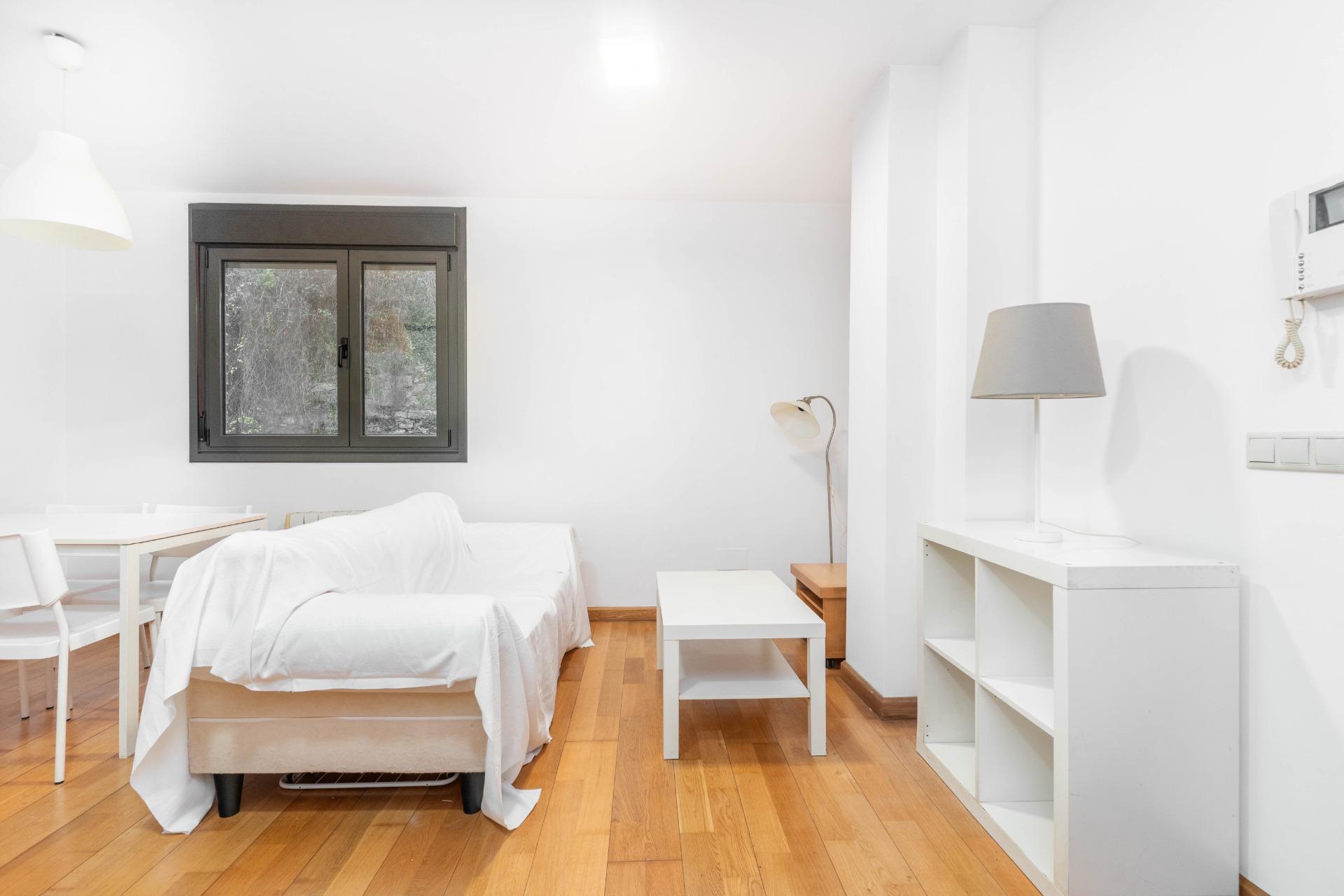 Pisos-Venta-Mieres-2019554-Foto-9