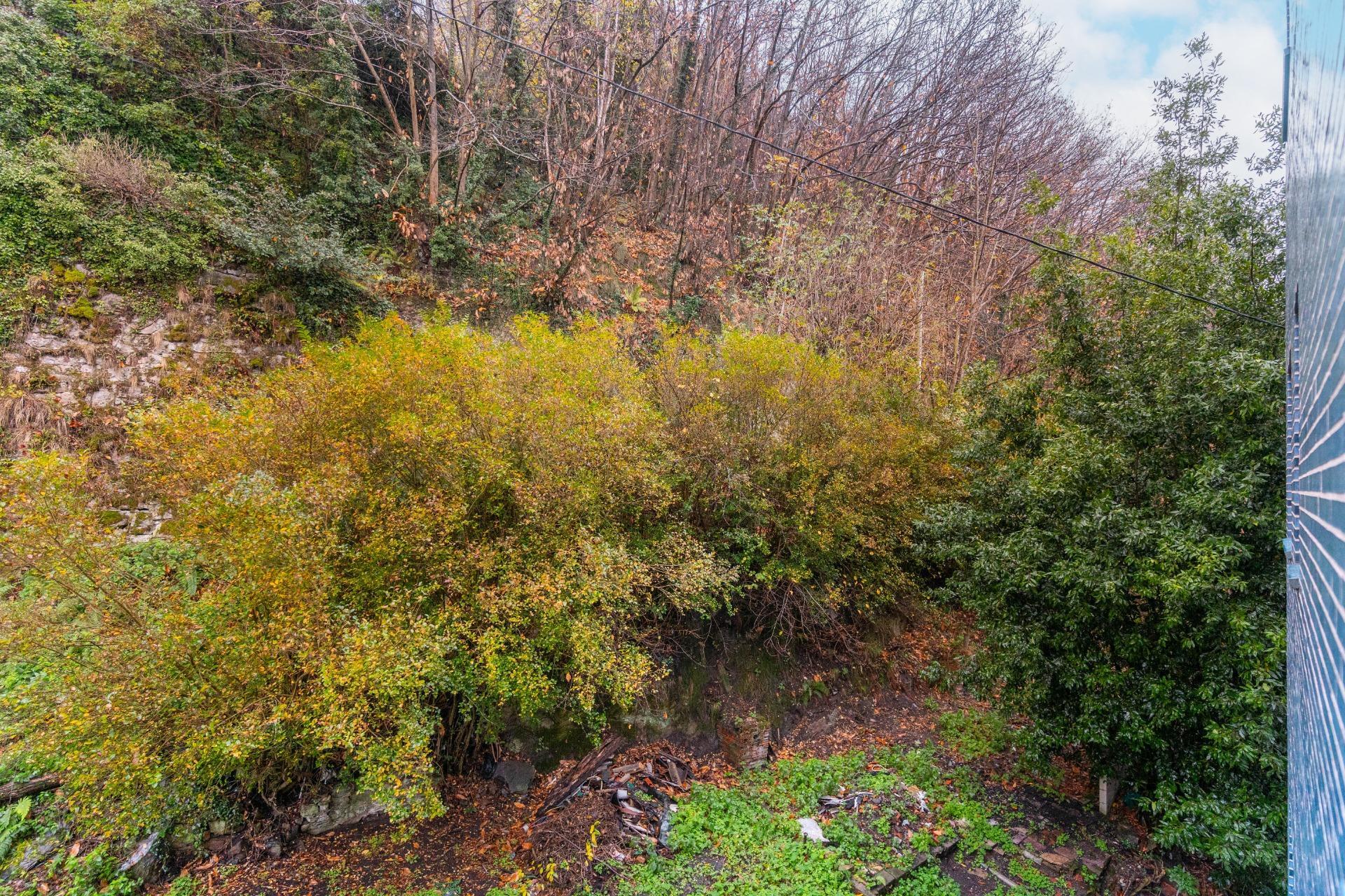 Pisos-Venta-Mieres-2019554-Foto-26