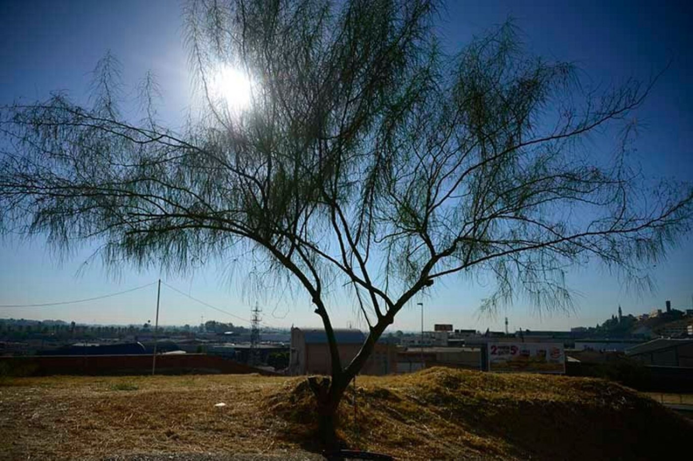 Fincas y solares-Venta-Tomares-668681-Foto-3