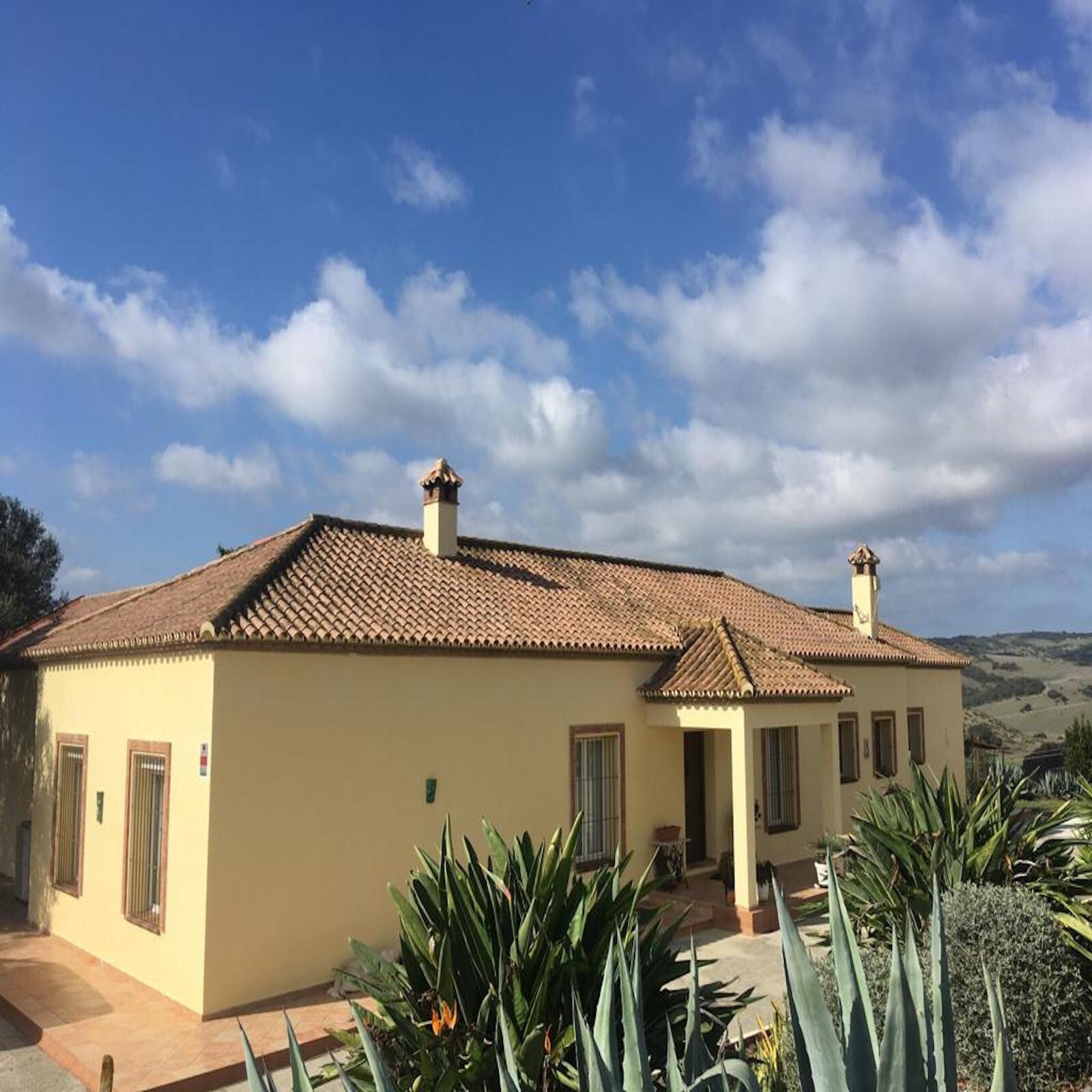 Casas o chalets-Venta-San Martin del Tesorillo-1832517-Foto-5