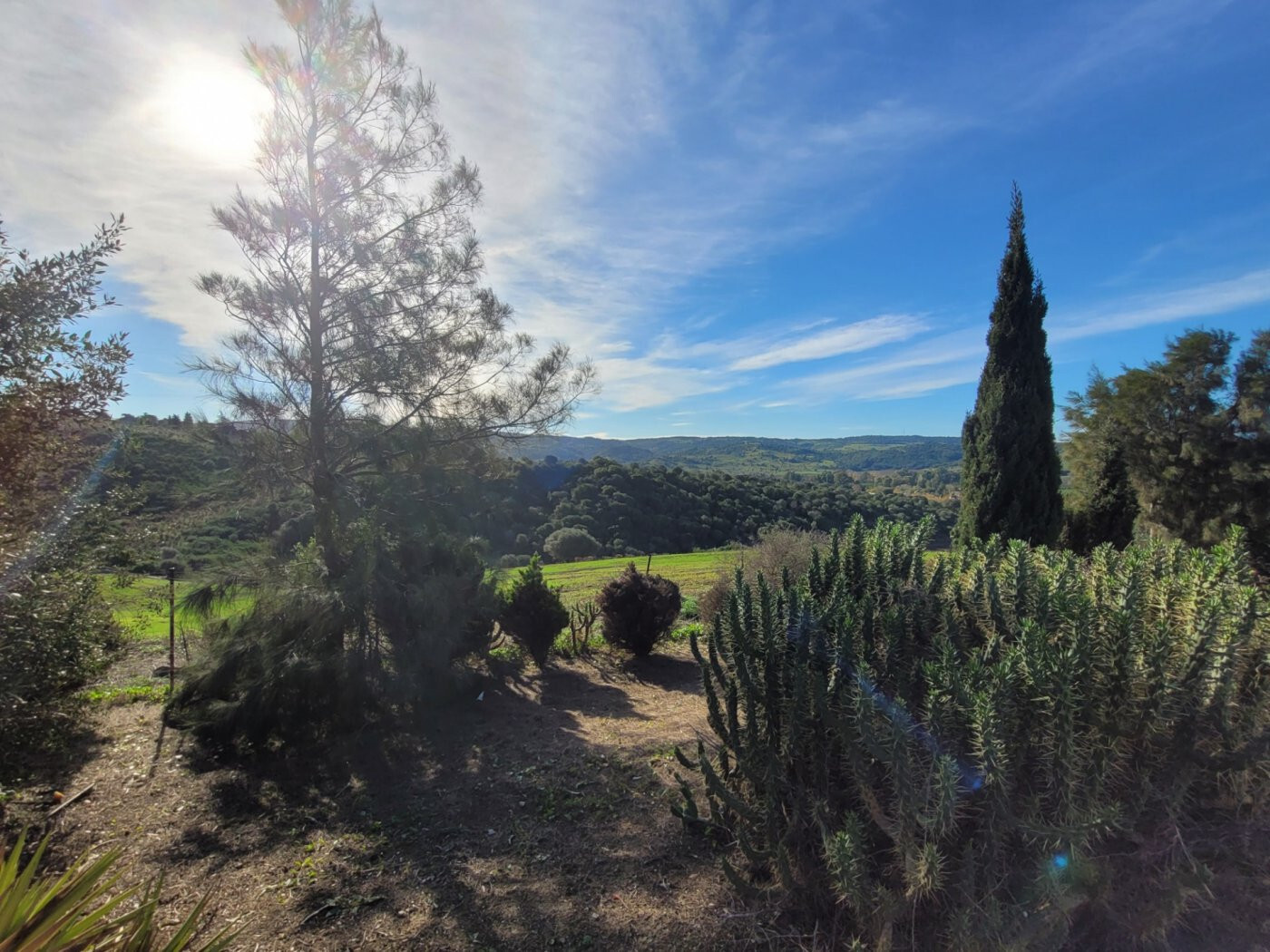 Casas o chalets-Venta-San Martin del Tesorillo-1832517-Foto-14