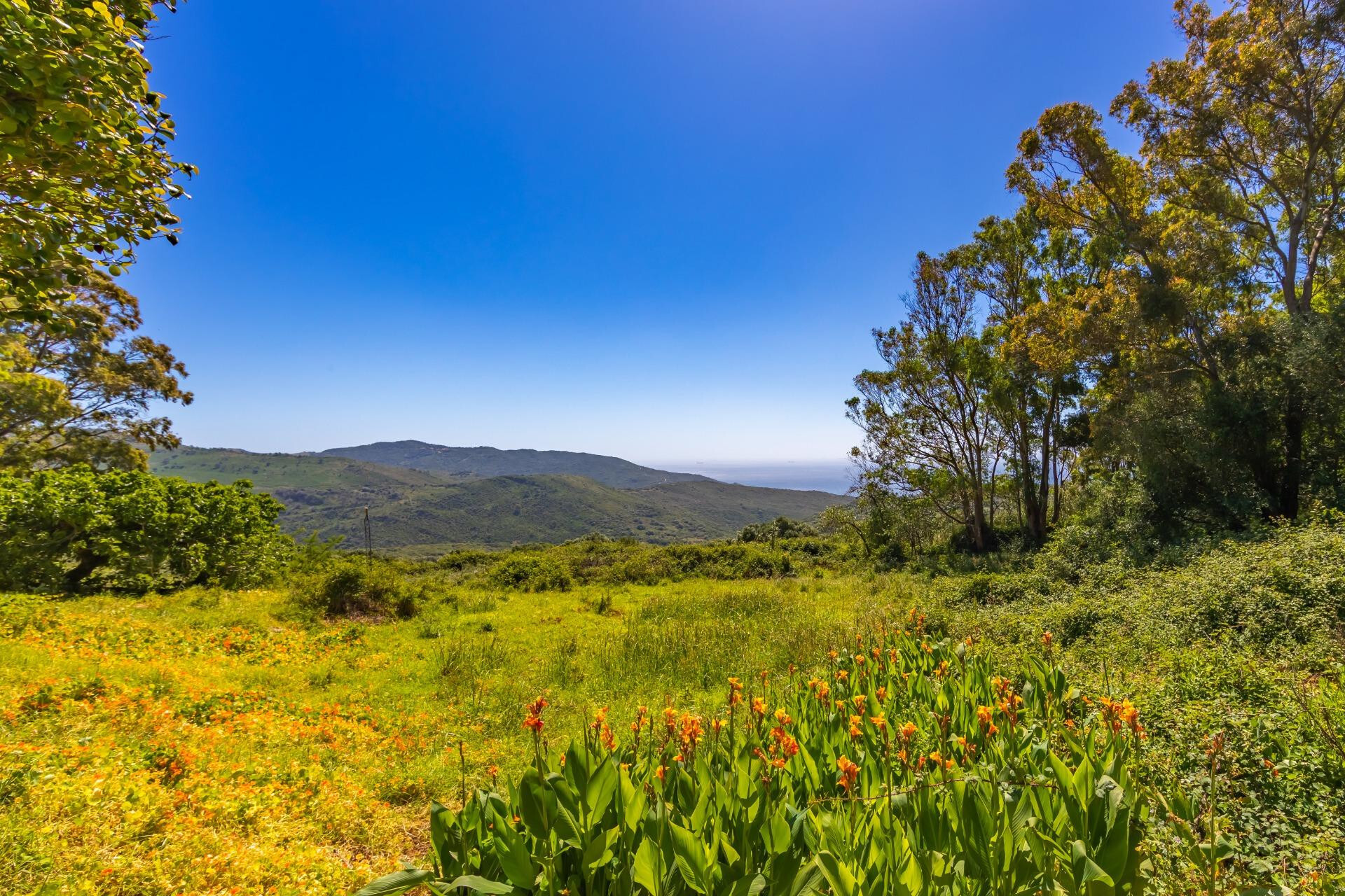 Pisos-Venta-Tarifa-1835347-Foto-45