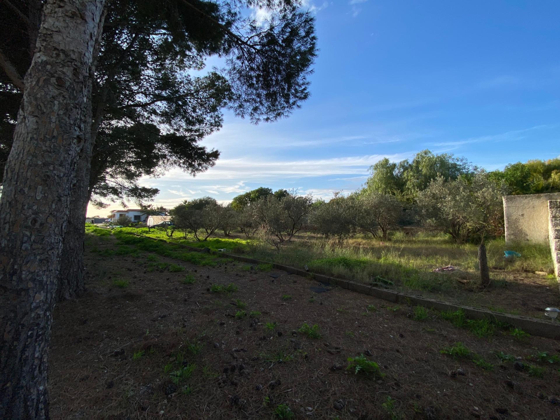 Pisos-Venta-CAMPOHERMOSO-2044801-Foto-4