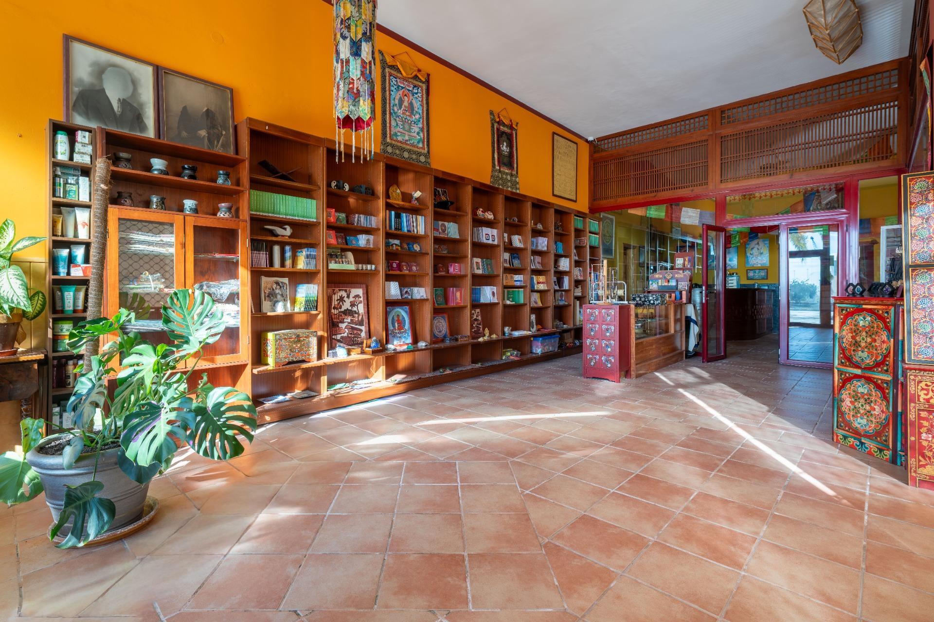 Locales-Venta-AlmerÃ­a-2090742-Foto-4