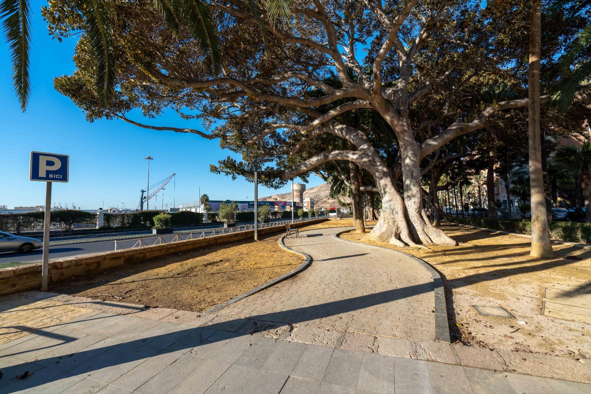 Locales-Venta-AlmerÃ­a-2090742-Foto-21