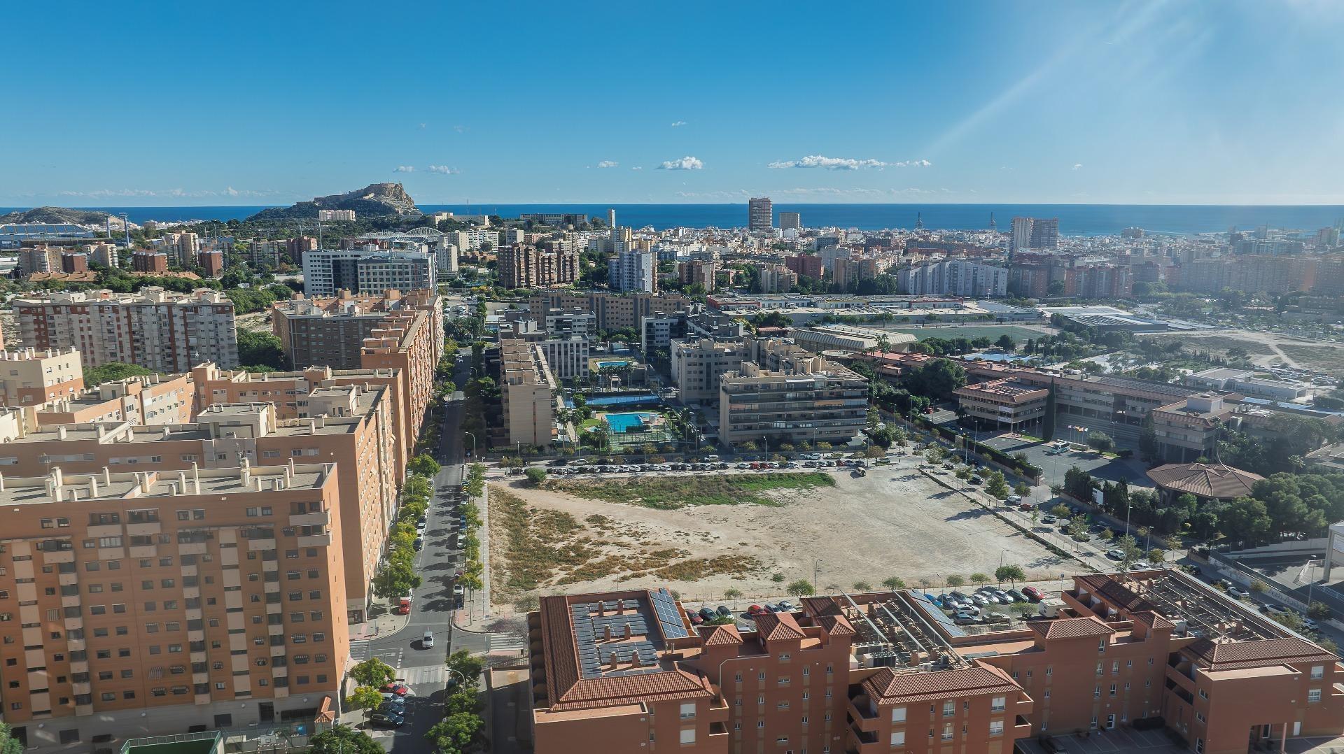 Negocios-Venta-Alicante-2091305-Foto-31