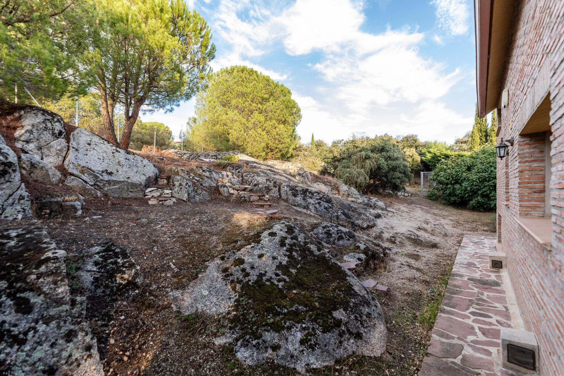 Casas o chalets-Venta-Torrelodones-1942861-Foto-50