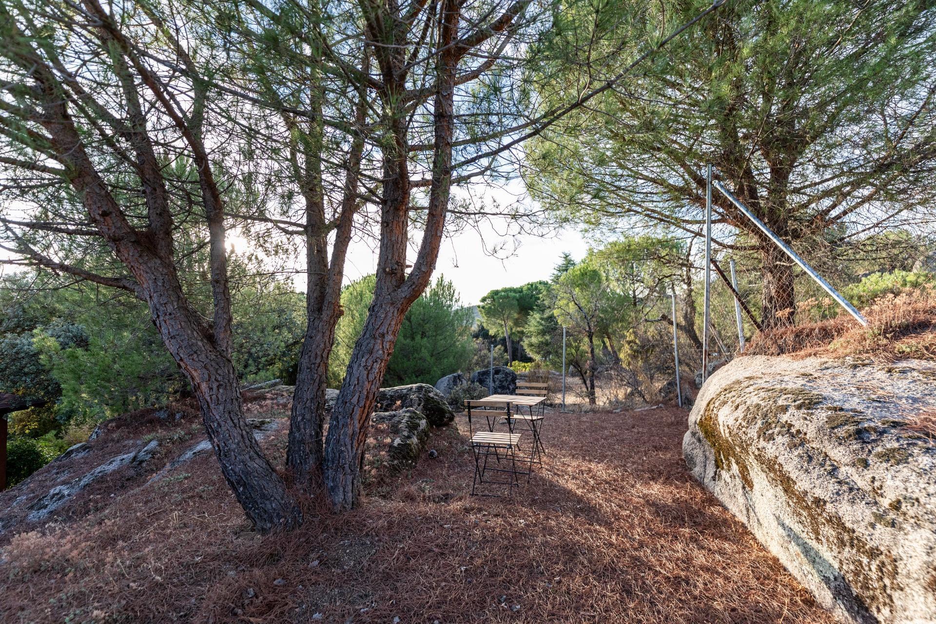 Casas o chalets-Venta-Torrelodones-1942861-Foto-52