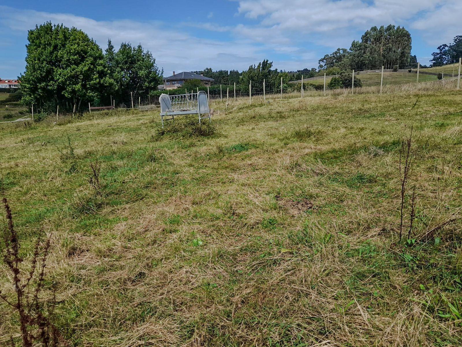 Fincas y solares-Venta-Miengo-1884823-Foto-7