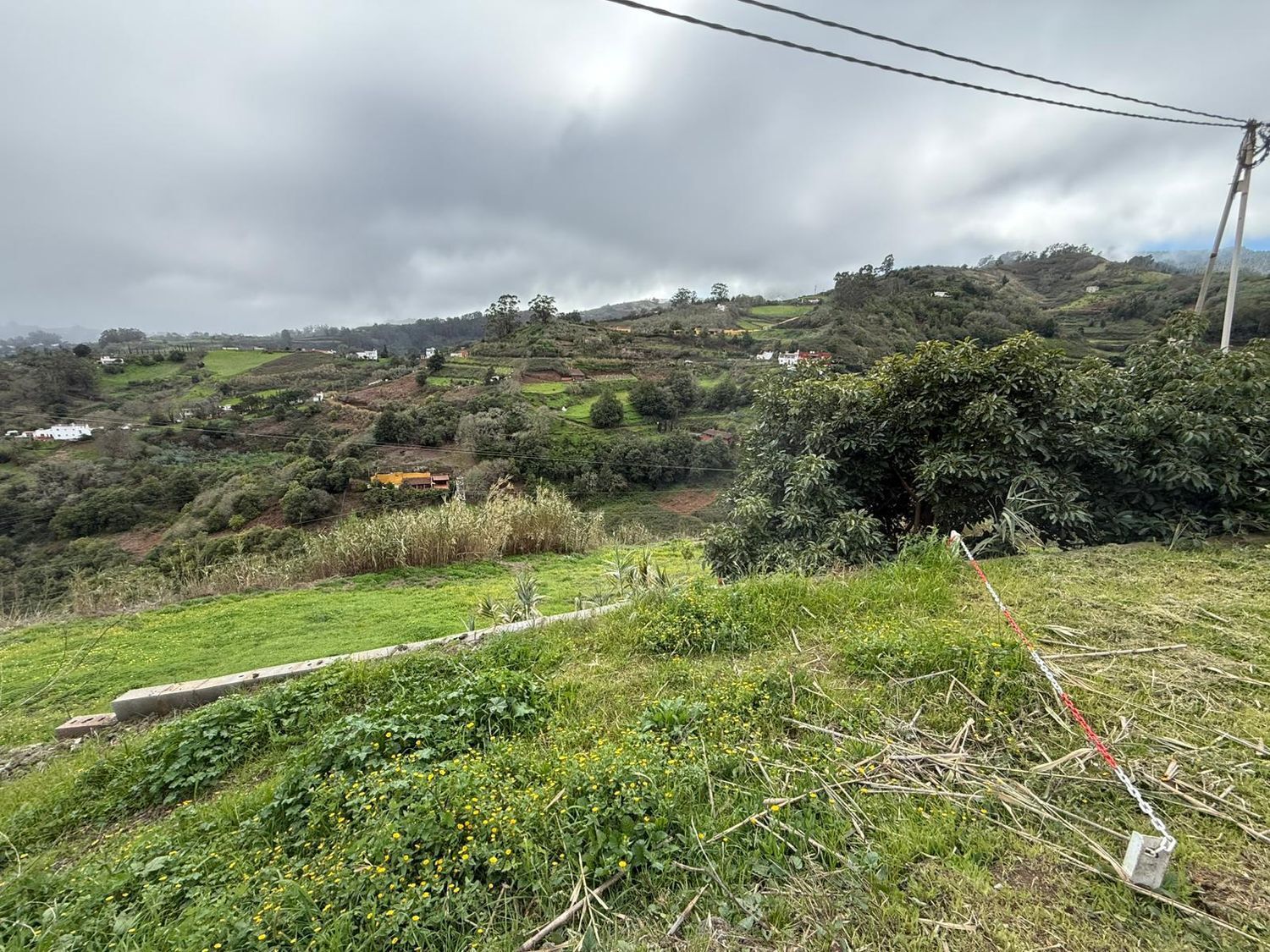 Pisos-Venta-Santa MarÃ­a de GuÃ­a de Gran Canaria-2091275-Foto-33