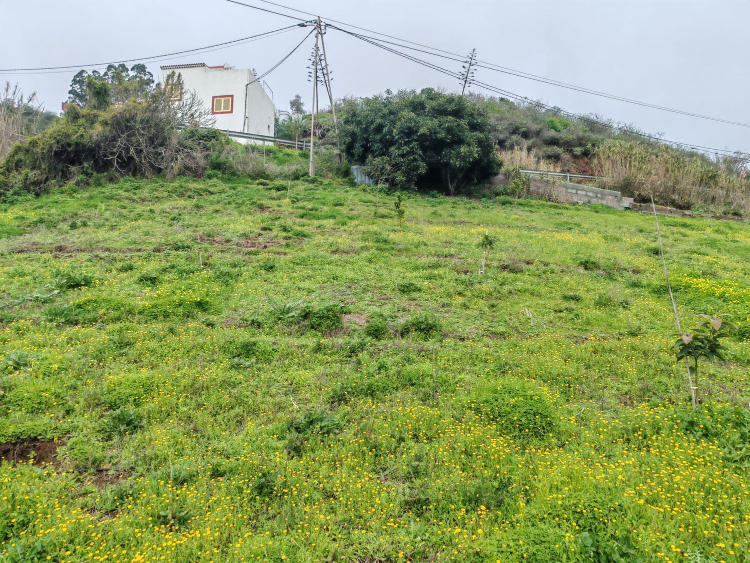 Pisos-Venta-Santa MarÃ­a de GuÃ­a de Gran Canaria-2091275-Foto-31