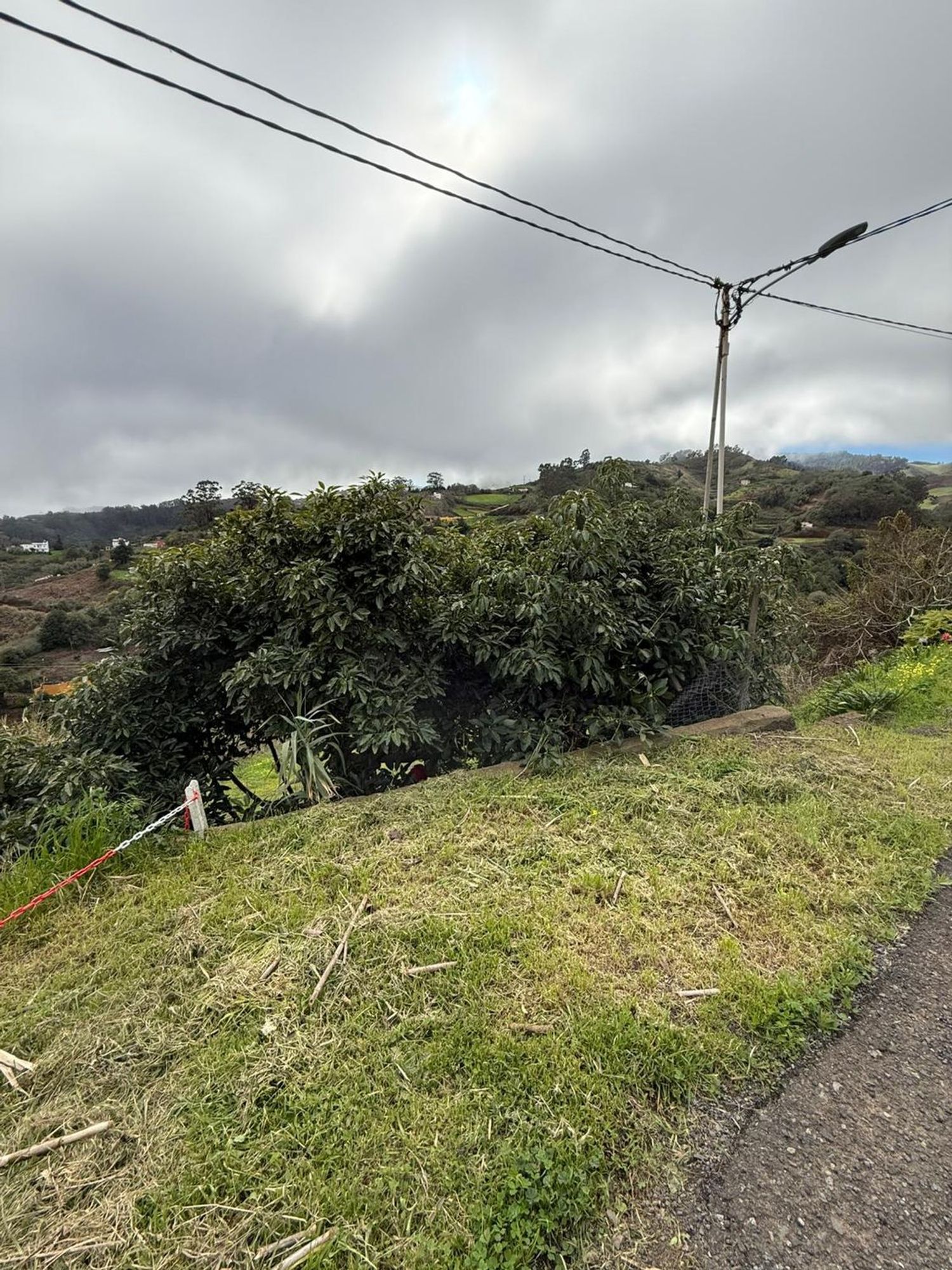 Pisos-Venta-Santa MarÃ­a de GuÃ­a de Gran Canaria-2091275-Foto-32