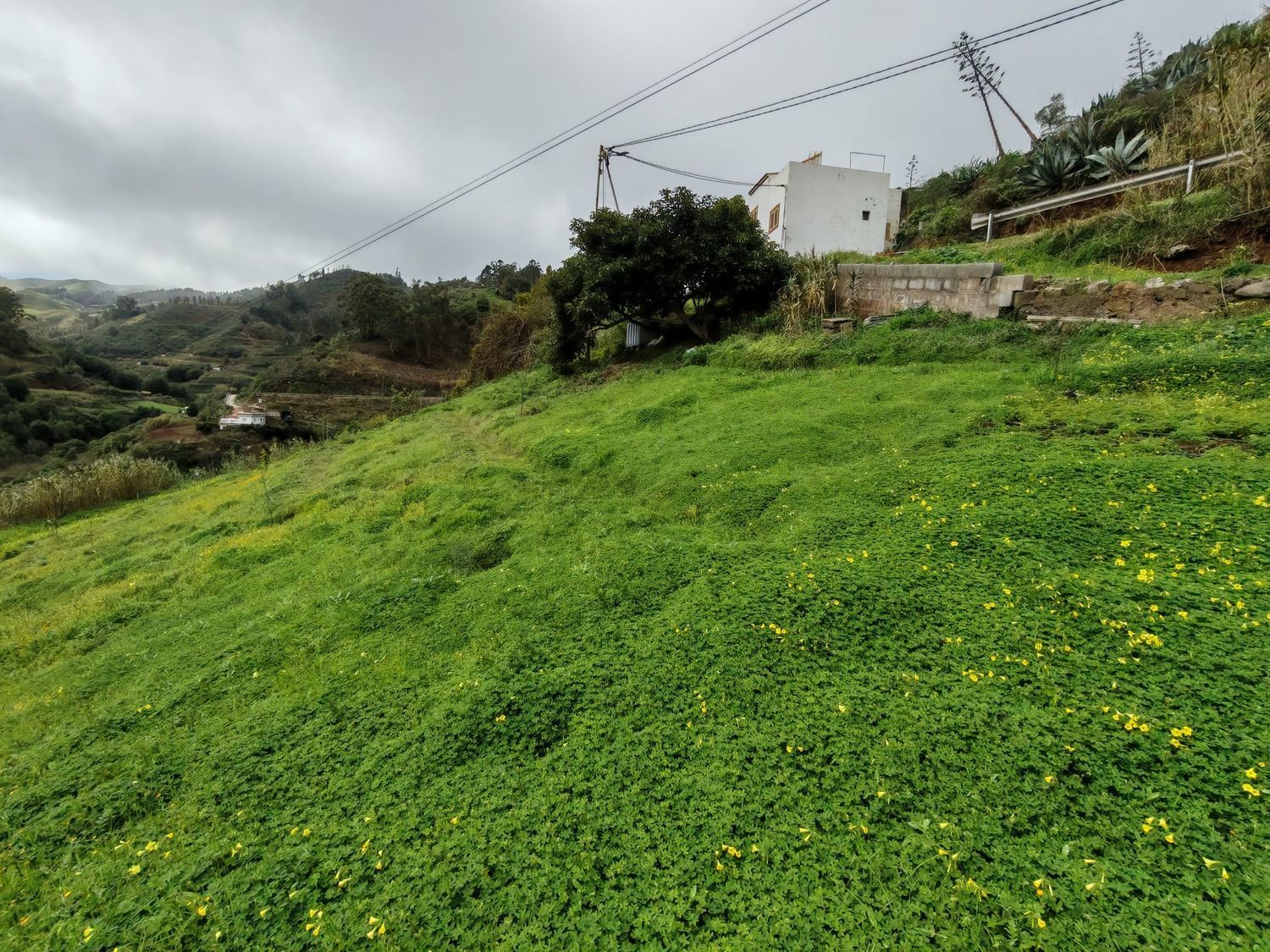 Pisos-Venta-Santa MarÃ­a de GuÃ­a de Gran Canaria-2091275-Foto-35