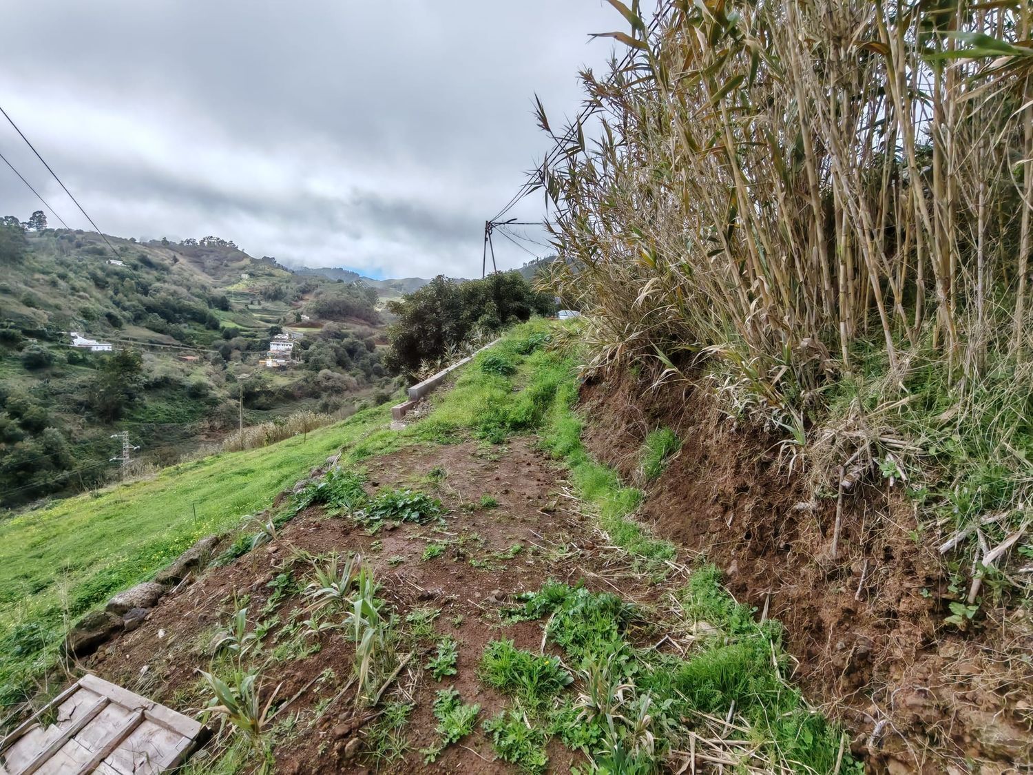 Pisos-Venta-Santa MarÃ­a de GuÃ­a de Gran Canaria-2091275-Foto-34