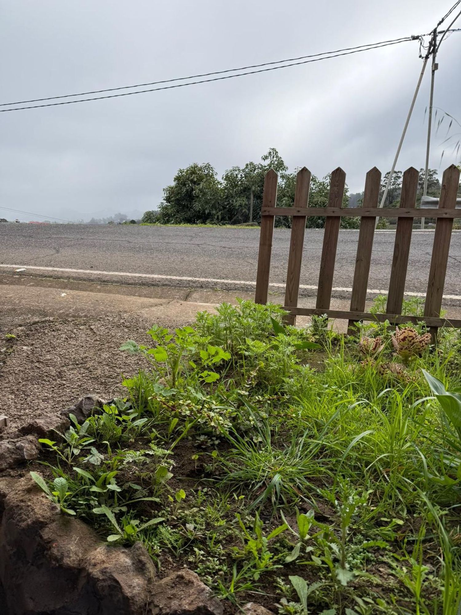 Pisos-Venta-Santa MarÃ­a de GuÃ­a de Gran Canaria-2091275-Foto-39