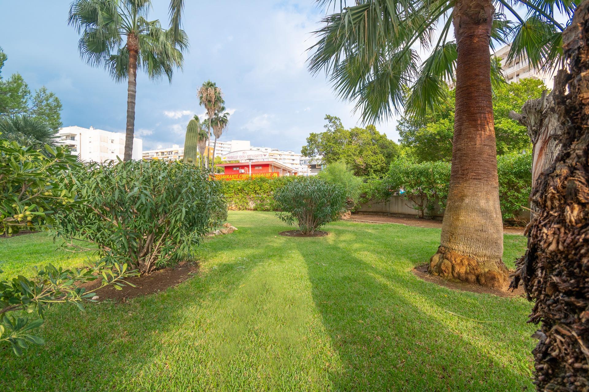 Pisos-Venta-CalviÃ -2091317-Foto-3