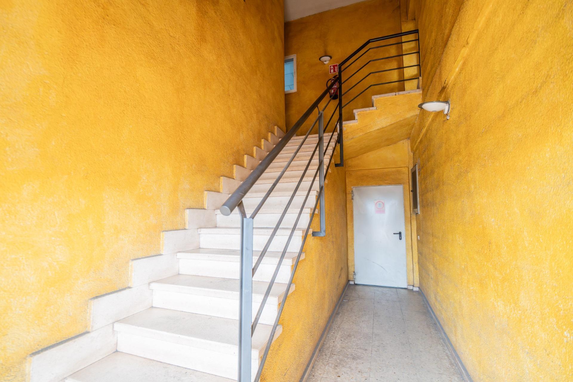 Naves-Venta-GriÃ±Ã³n-2091308-Foto-59