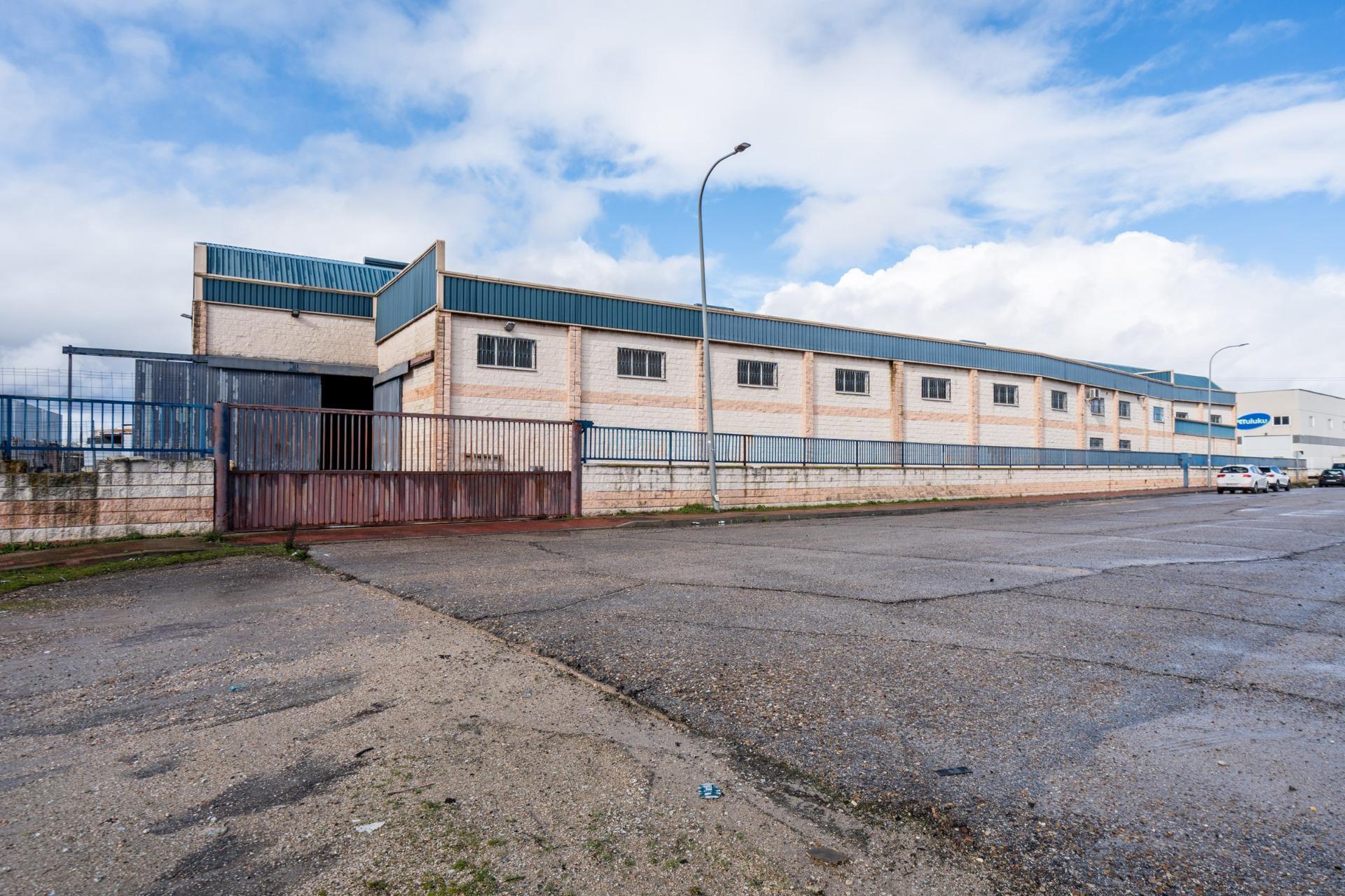 Naves-Venta-GriÃ±Ã³n-2091308-Foto-81