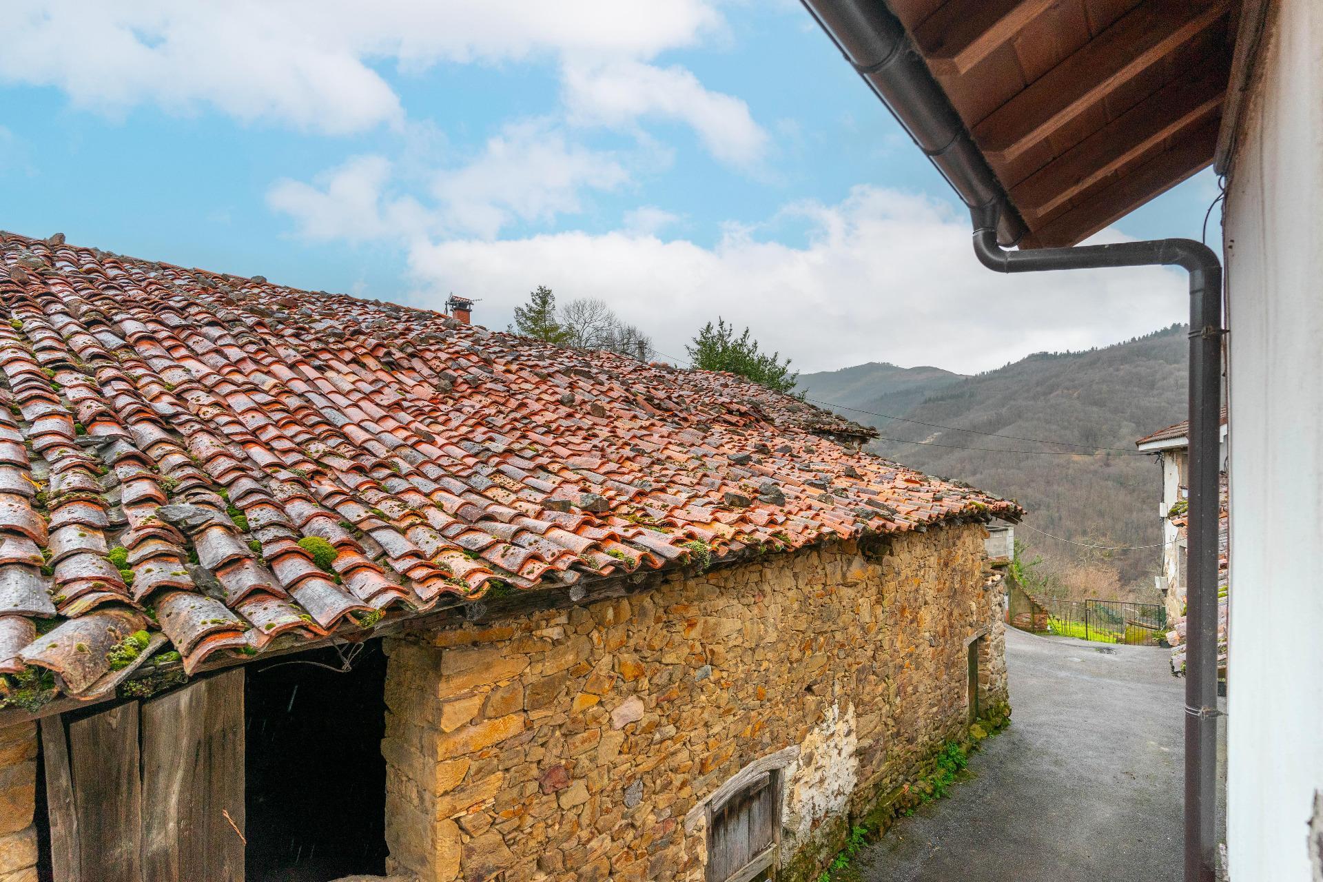 Casas o chalets-Venta-Mieres-2091314-Foto-44