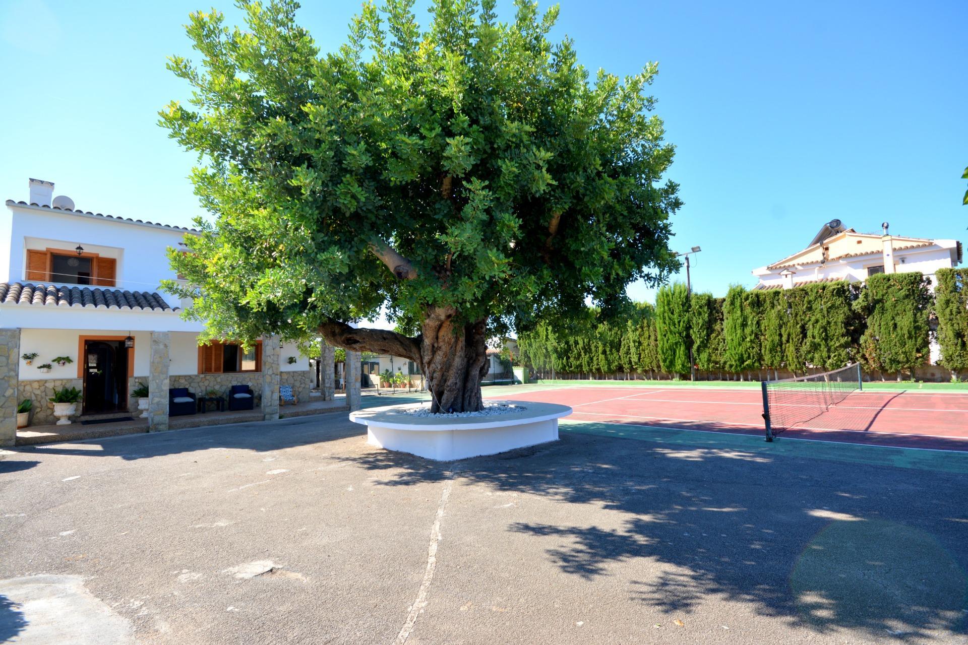 Casas o chalets-Venta-MarratxÃ­-1866080-Foto-73