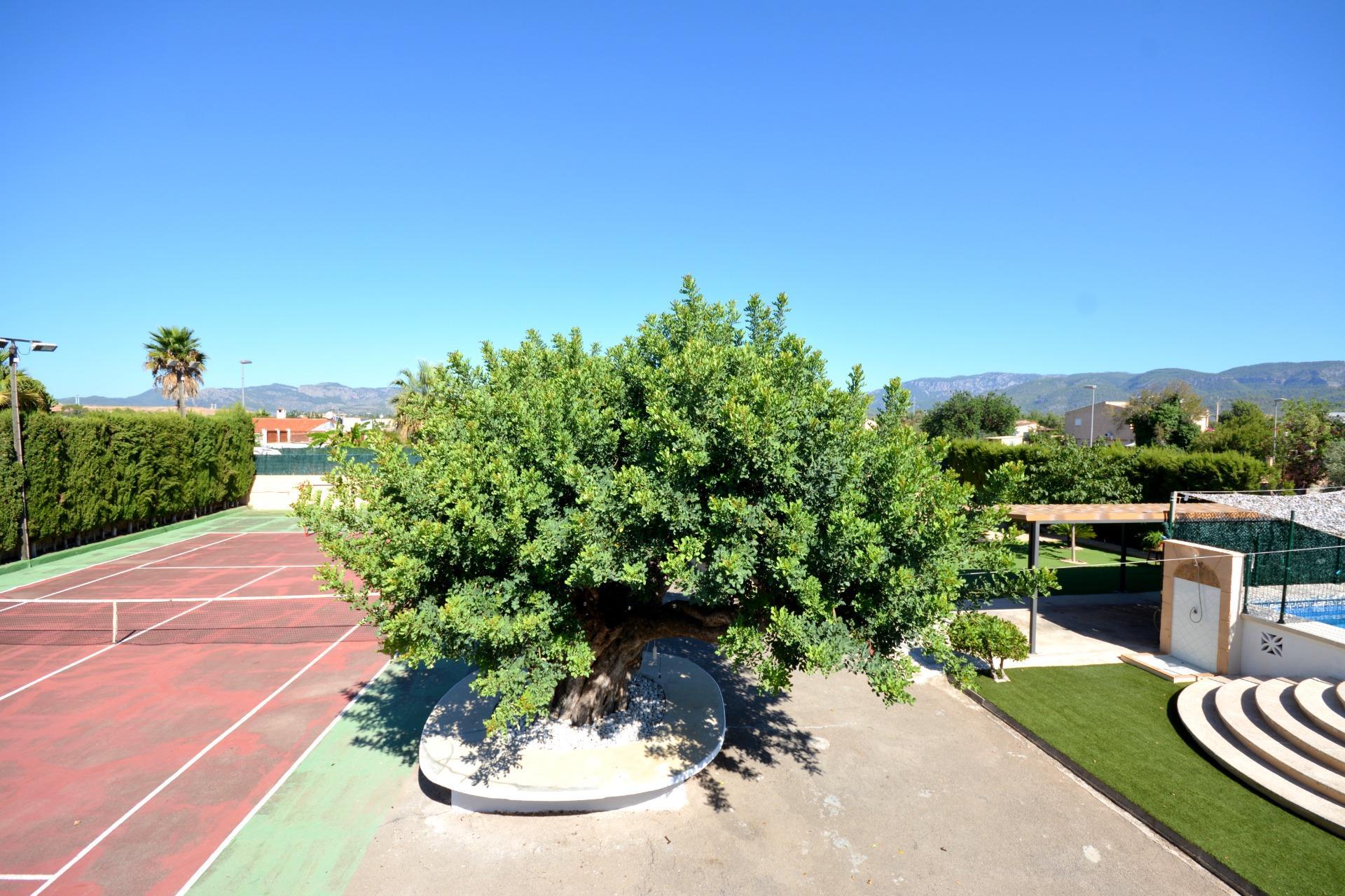 Casas o chalets-Venta-MarratxÃ­-1866080-Foto-78