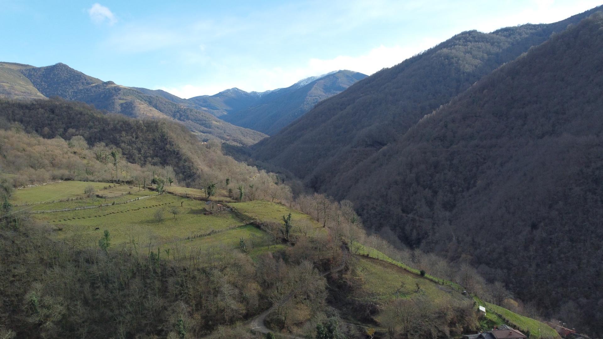 Casas o chalets-Venta-Aller-2091329-Foto-32