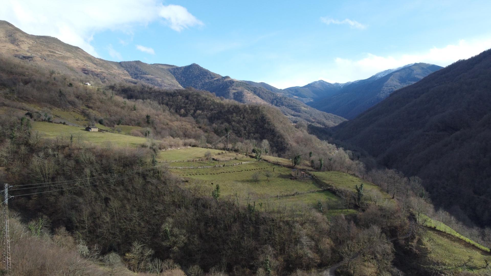 Casas o chalets-Venta-Aller-2091329-Foto-36