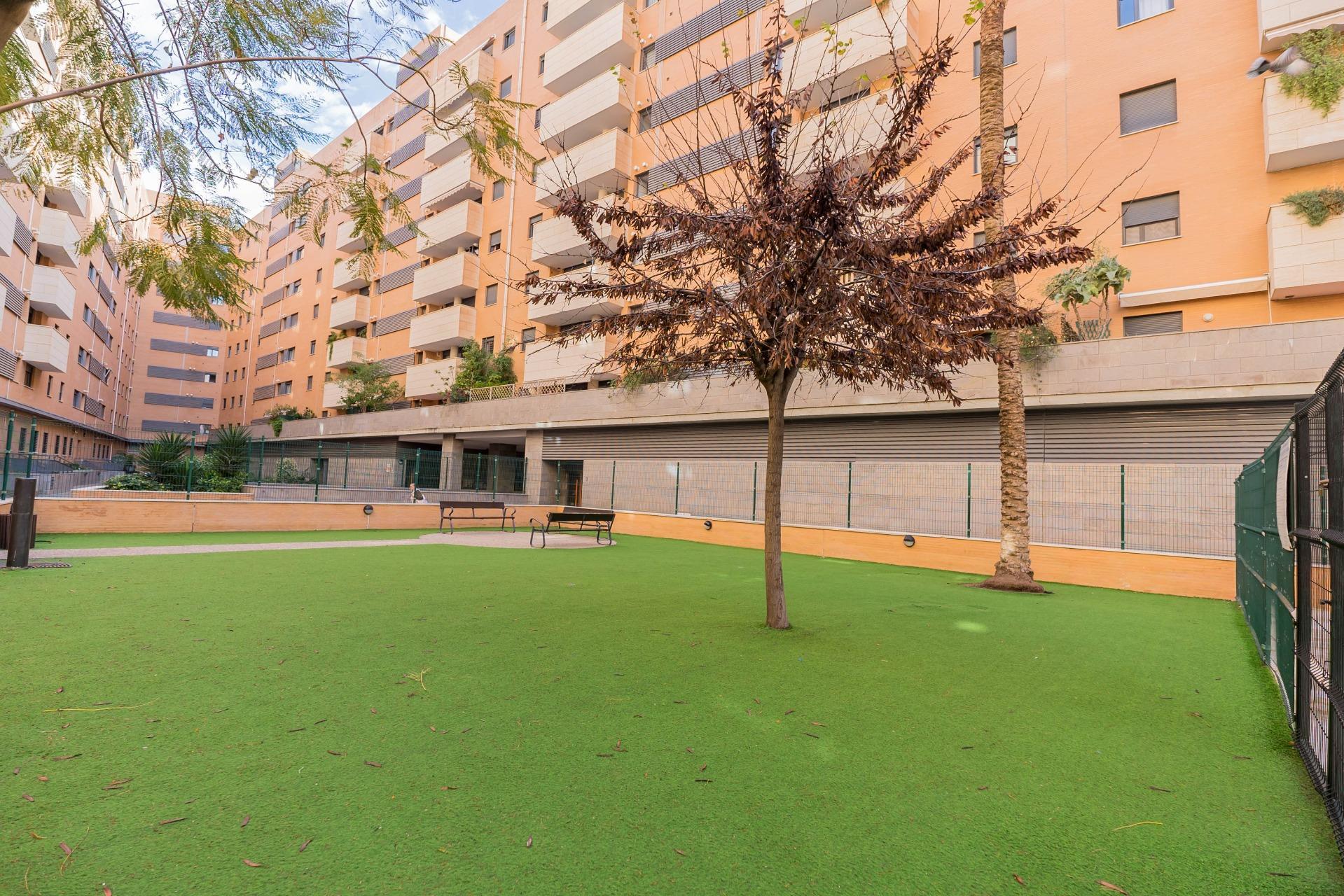 Pisos-Alquiler-VÃ©lez-MÃ¡laga-2091833-Foto-4