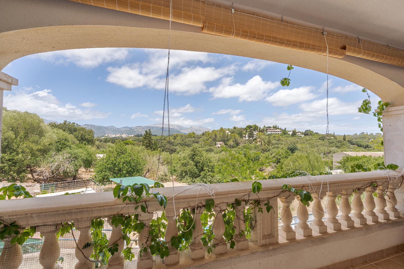 Casas o chalets-Venta-BÃºger-1792535-Foto-6